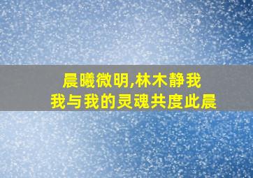 晨曦微明,林木静我 我与我的灵魂共度此晨